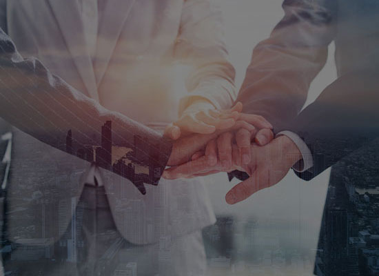 The luxury software ecosystem doctoral team from top domestic and foreign universities has formed a comprehensive and supportive application software ecosystem co construction capability.